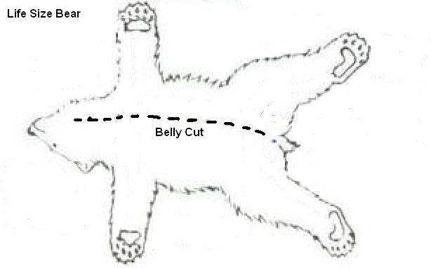 Bear4