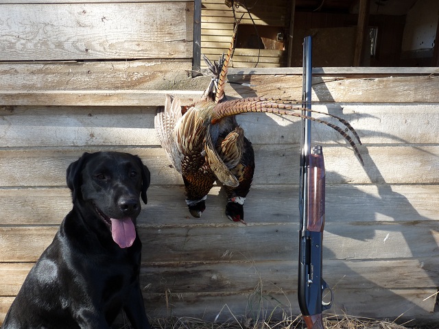 November 2011 Photo of the Month by 87Ford