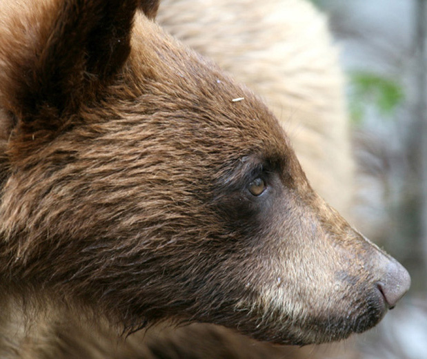 Hunting Photo of the Month