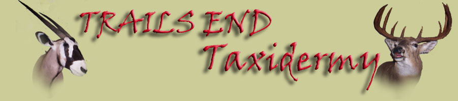 Trails End Taxidermy Dayton,WA